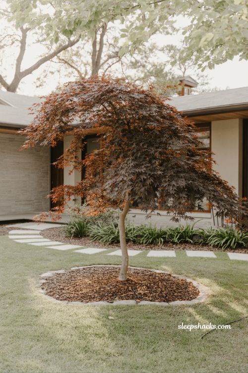 front yard landscaping ideas with japanese maple focal point modern minimal garden design curb appeal