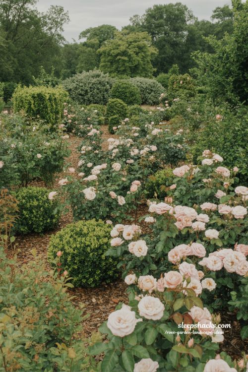 layered rose garden ideas with trees shrubs and flowers for rich natural depth and balance