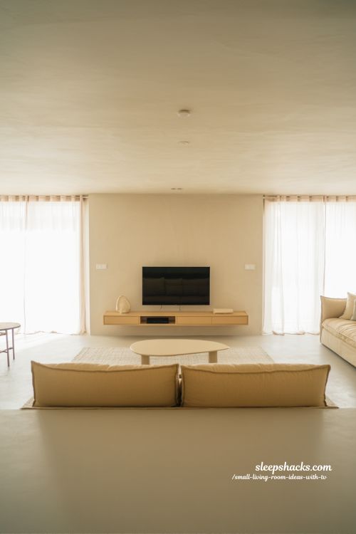 light colour palettes for airy small living room with modern tv setup and open bright design