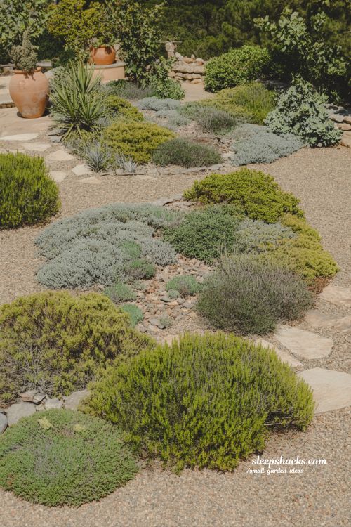low-maintenance plant zones easy care summer landscape garden ideas drought tolerant backyard design