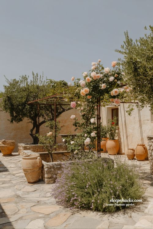 mediterranean rose garden ideas with terracotta pots stone paths and warm sunlit coastal planting design