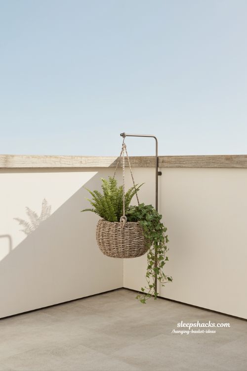 minimal two plant hanging basket ideas for clean modern balcony garden design