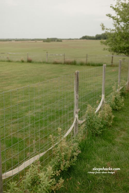minimal wire fence design for large backyard coverage cheap and practical outdoor boundary idea 