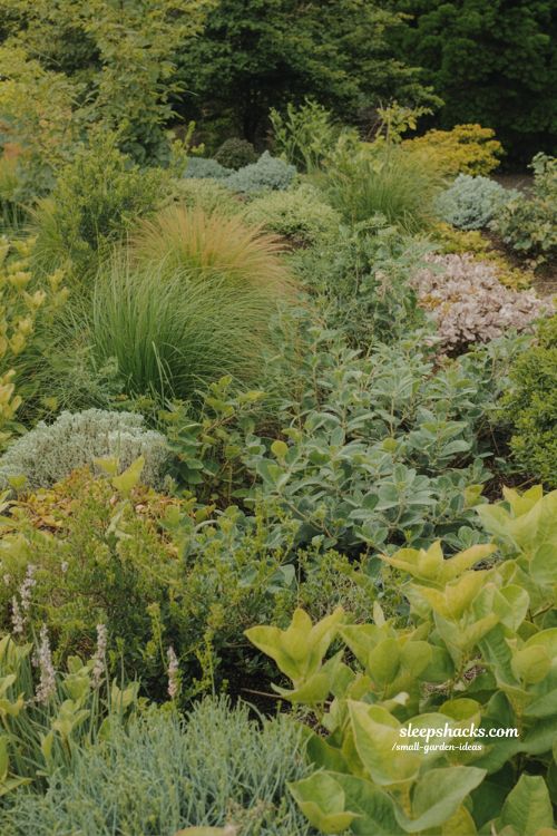 mixed texture planting for natural depth layered summer landscape garden design ideas