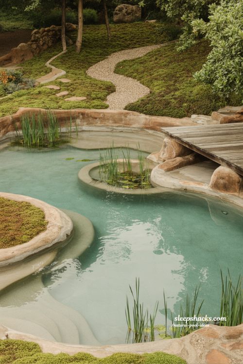 natural pool ideas with eco-friendly garden swimming pool design and organic landscape integration