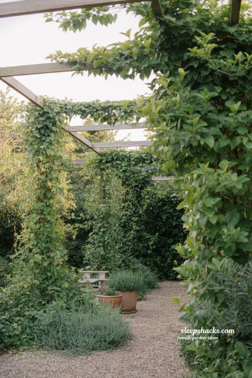 natural privacy screens with plants summer landscape garden ideas green living wall backyard privacy design