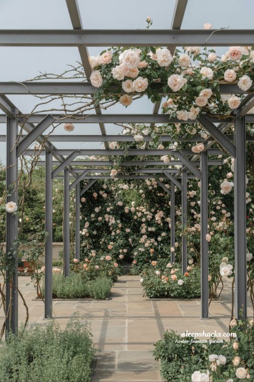 pergola rose garden ideas with climbing roses outdoor living space and shaded floral canopy design for relaxing garden pause