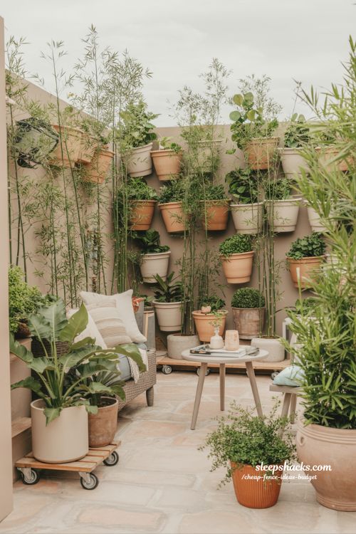 potted plant privacy wall for small backyard flexible green space divider idea 