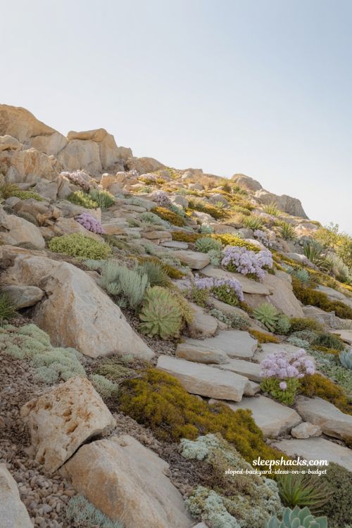rock garden ideas for sloped backyard with alpine plants and drought tolerant hillside landscaping design
