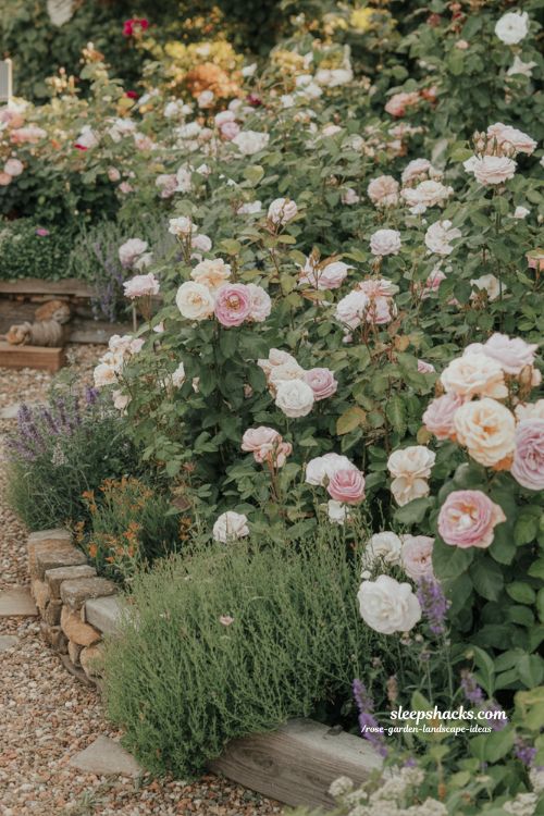 1. Shot type — Wide, slightly angled cinematic garden shot at ground level, capturing a dense cottage-style rose garden that feels immersive and layered from foreground to background. 2. Room description — A relaxed cottage-style rose garden overflowing with natural charm, where nothing feels overly controlled. Roses grow freely alongside herbs and soft companion flowers, creating a richly layered outdoor space that feels like it has evolved slowly over time rather than being carefully designed all at once. 3. Style and era — Traditional English cottage garden style with a romantic, slightly wild aesthetic, inspired by old countryside gardens where beauty comes from abundance and gentle imperfection. 4. Color palette — Soft blush and deep pink roses, creamy whites, muted lavender purples, gentle sage greens, and earthy brown soil tones that ground the lush floral density. 5. Key props and details — Heirloom-style rose bushes, lavender and salvia planted between rose clusters, slightly weathered stone edging, rustic wooden garden borders, natural gravel paths partially covered by overgrowth, and mixed-height planting that creates a flowing, organic rhythm. 6. Lighting — Soft diffused late afternoon sunlight filtering through dense foliage, creating warm highlights on petals and gentle natural shadows that enhance depth without harsh contrast. 7. Mood and atmosphere — Soft colors that create a comforting, nostalgic warmth, old natural textures that make the space feel authentic and lived-in, and simple overlapping plant details that build a sense of effortless abundance. The atmosphere feels cozy, slightly wild, and emotionally grounding, like a garden that has been loved for years. 8. Technical tail — no people, no text, no watermarks, no blur, no bokeh, all surfaces in sharp focus, photorealistic, 4K resolution, editorial interior photography, Pinterest-worthy
