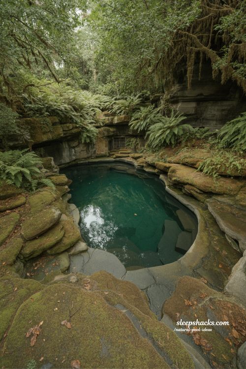 rustic natural pool ideas inspired by forest landscapes with wild organic backyard design