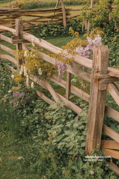 rustic split rail garden fence with climbing vines and cottage garden flowers