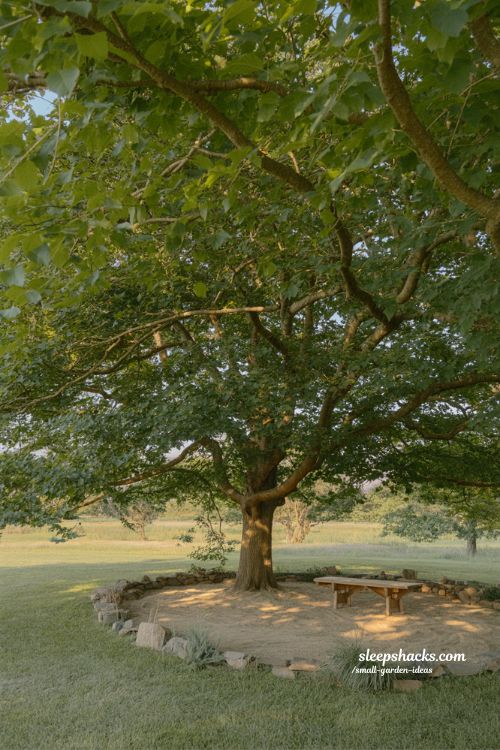 shade trees that change everything in summer landscape backyard design ideas