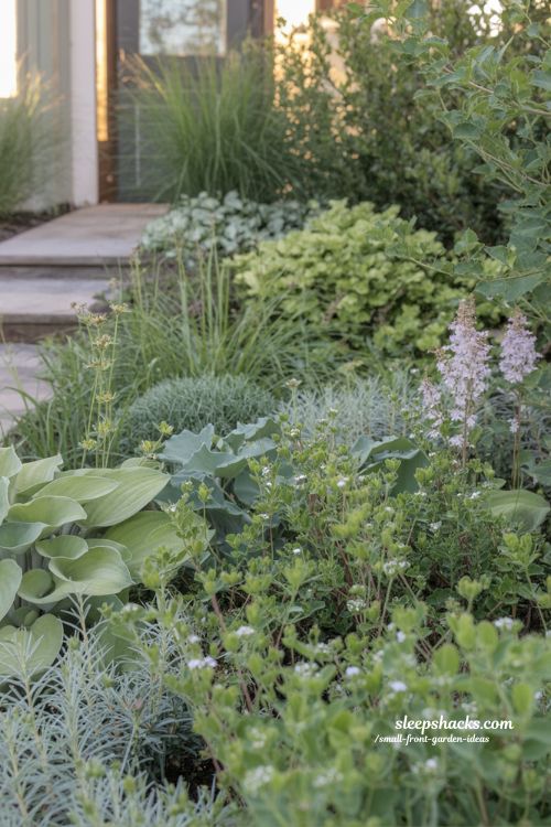 small front garden layered planting design with mixed textures grasses and flowers for depth and balance 