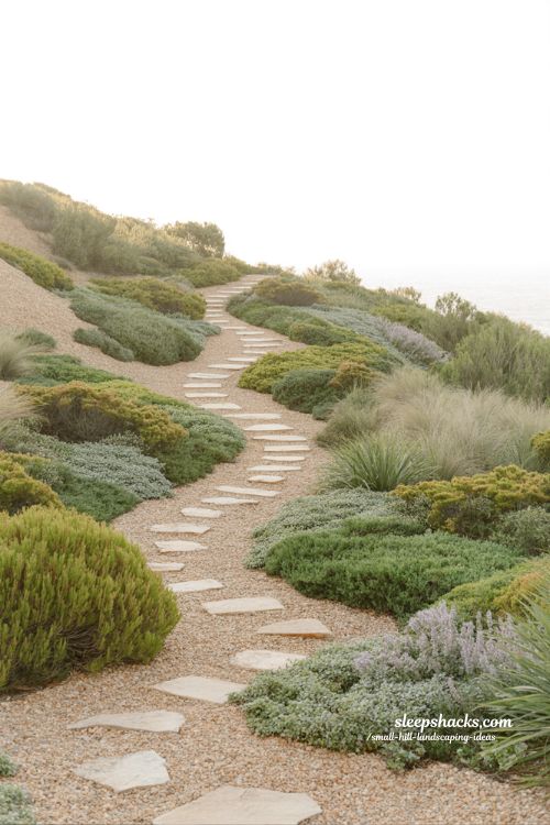 small hill landscaping ideas with central pathway dividing hillside garden for easy maintenance and flow