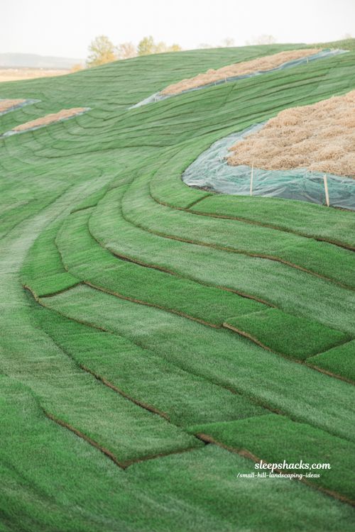 small hill landscaping ideas with grass on a manageable slope for easy mowing and erosion control