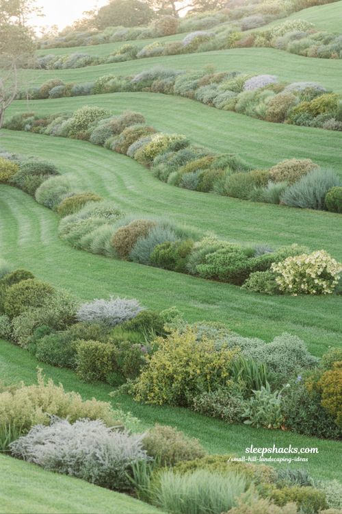 small hill landscaping ideas with horizontal grass paths dividing hillside garden into easy walking and planting zones
