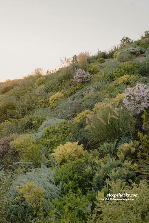small hill landscaping ideas with mixed planting layers for color height and year round hillside interest