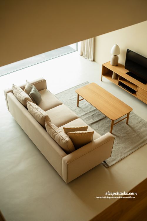 sofa bed arrangement for flexible small living room guest friendly modern design