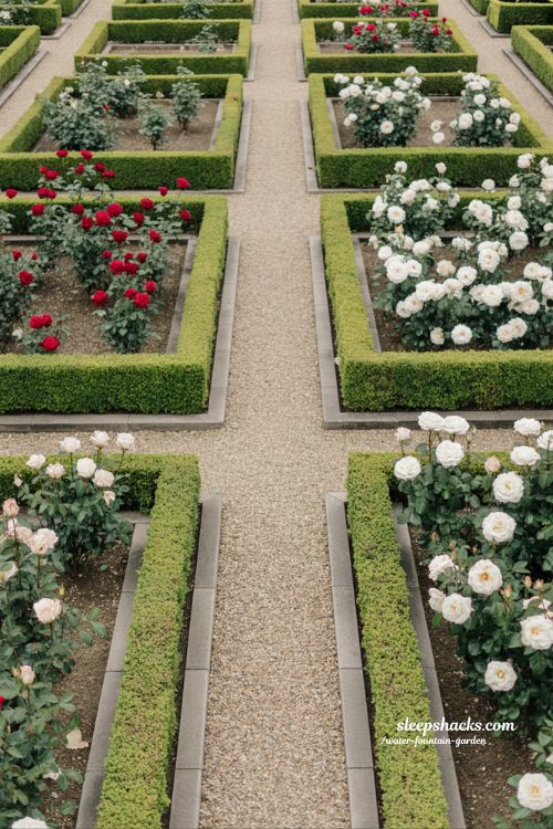 structured rose garden ideas with formal hedges stone borders and elegant symmetrical planting design