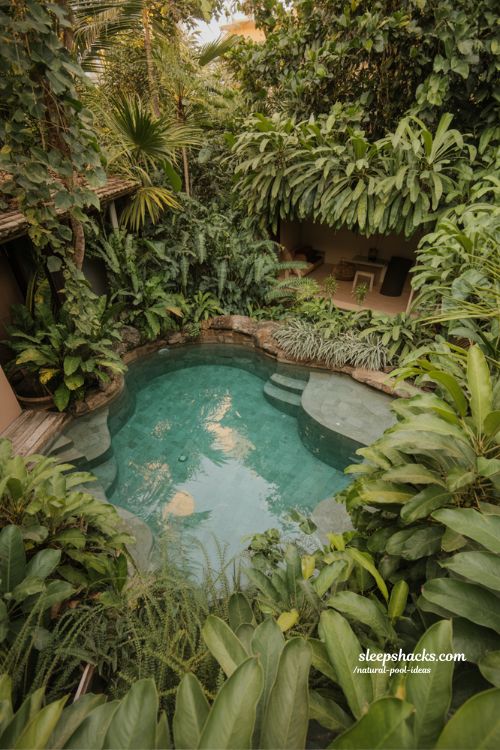 tropical natural pool ideas with lush green surroundings and jungle inspired backyard design