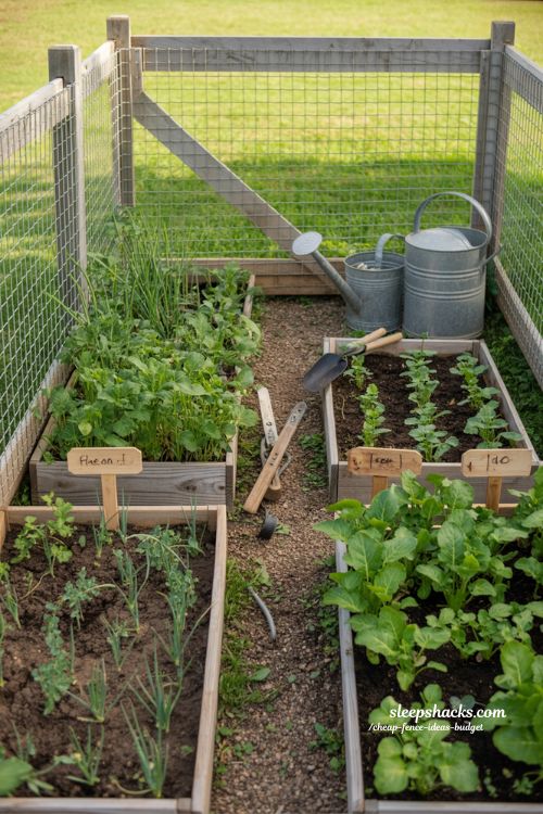 vegetable garden fence idea with simple wire protection for practical backyard growing space 