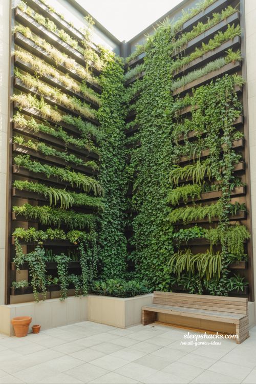 vertical green walls for small spaces modern balcony and courtyard garden ideas lush wall garden design