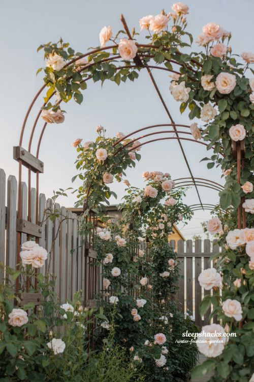 vertical rose garden ideas with climbing roses arches and small backyard space transforming upward floral design