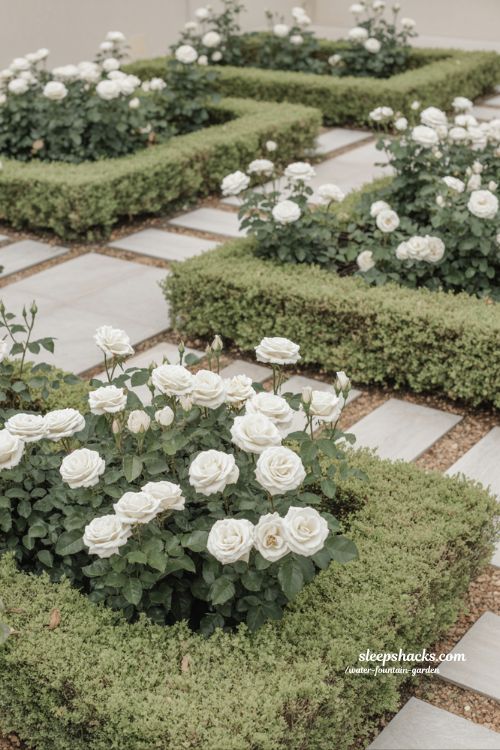 white rose garden ideas for calm spaces with soft green layers and minimalist peaceful outdoor design