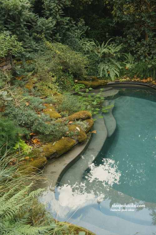 wild garden natural pool ideas that feel untamed and organic backyard nature design