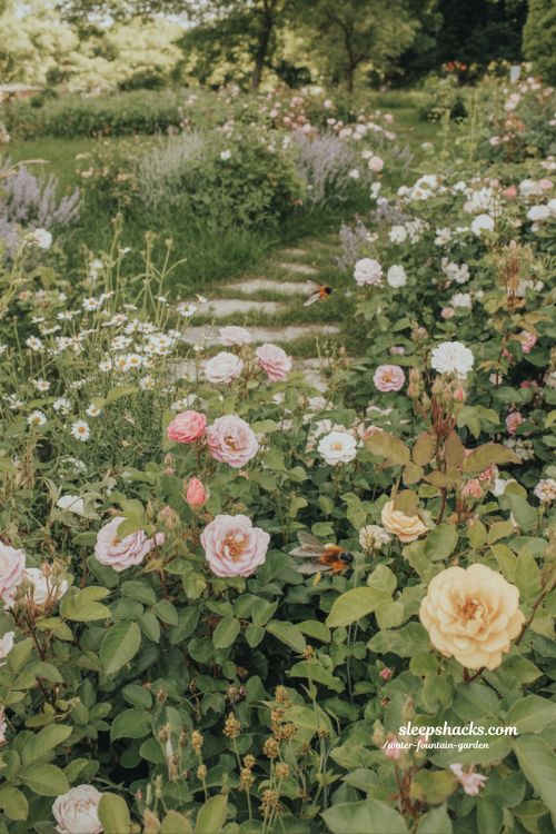wildlife friendly rose garden ideas with pollinator blooms bees and natural ecological garden design that feels alive