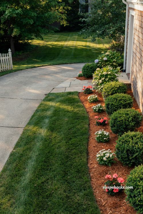 Clean lawn edges along walkways and driveways for polished curb appeal
