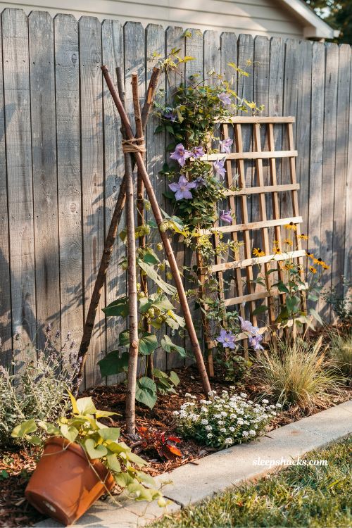DIY trellis with climbing vines for vertical front yard garden interest