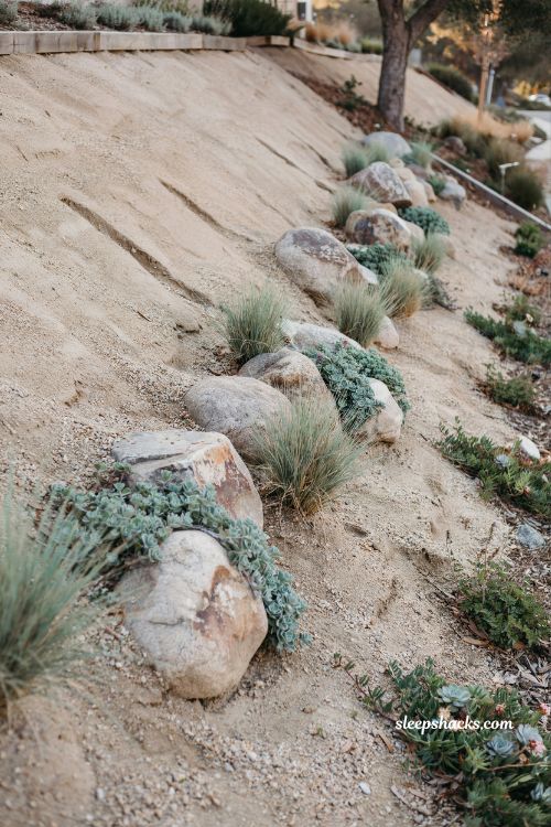 Garden landscape design ideas with natural rock garden layout drought tolerant plants and low maintenance landscape structure