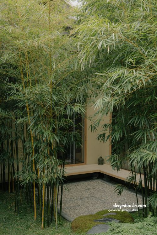 Japanese bamboo garden screening private courtyard room with Fargesia hedge natural zen enclosure design
