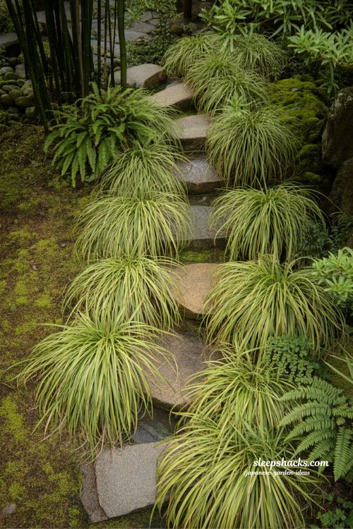 Japanese forest grass along stone path with Hakonechloa aureola and painted ferns in shaded zen garden