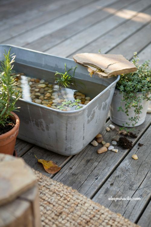Simple diy patio pond with aquatic plants pebbles and natural garden charm