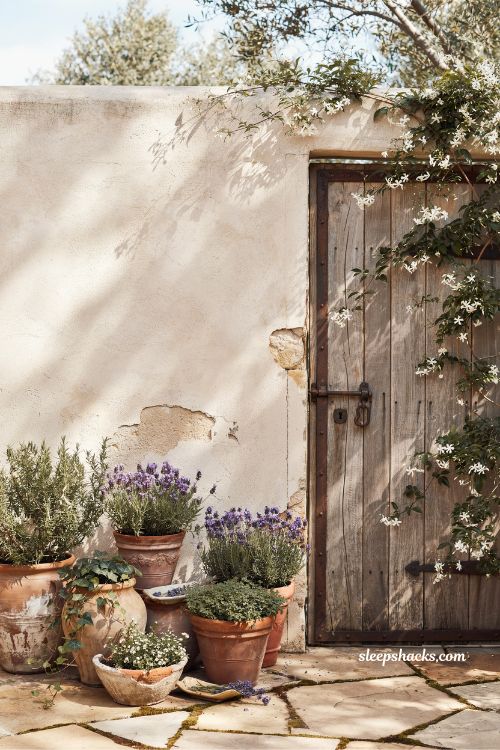 Small mediterranean garden ideas with clustered terracotta pots by a charming garden doorway 