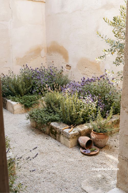 Small mediterranean garden ideas with raised herb beds filled with lavender rosemary and thyme in rustic courtyard style 