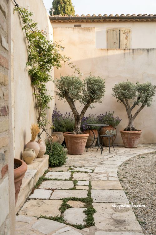 Small mediterranean garden ideas with terracotta pots olive trees and rustic courtyard charm