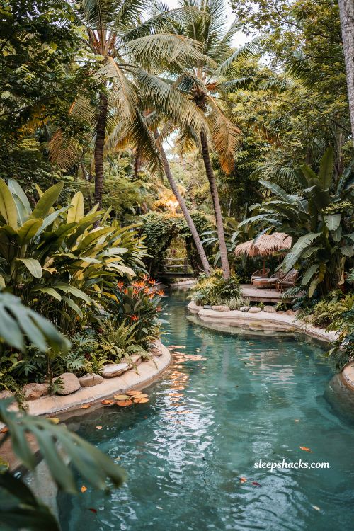 Tropical themed lazy river with lush poolside landscaping backyard resort jungle design ideas