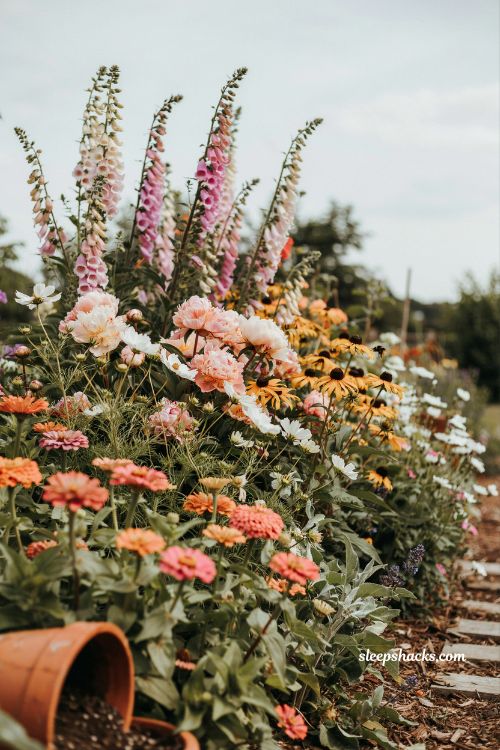 Whimsical backyard ideas with cottage garden planting lush flower beds and abundant pollinator friendly garden design