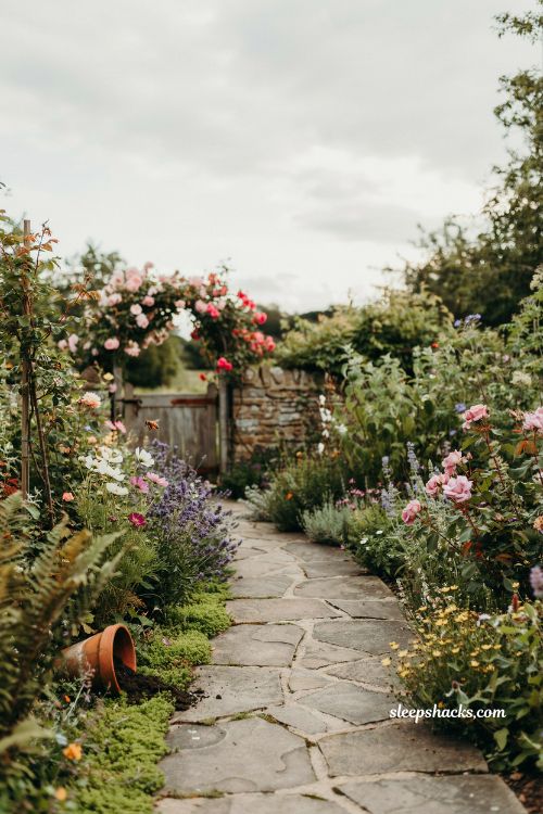 Whimsical backyard ideas with winding stone pathway moss and cottage garden overgrown edges