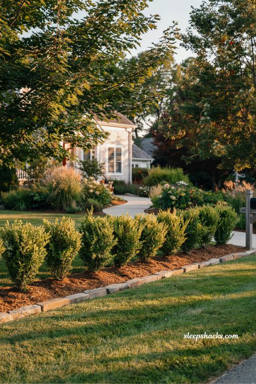 Young hedge along the front boundary for natural and affordable curb definition
