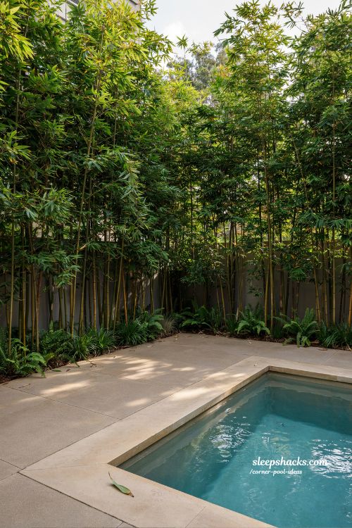bamboo privacy screening framing pool corner tropical backyard pool design with natural green privacy wall