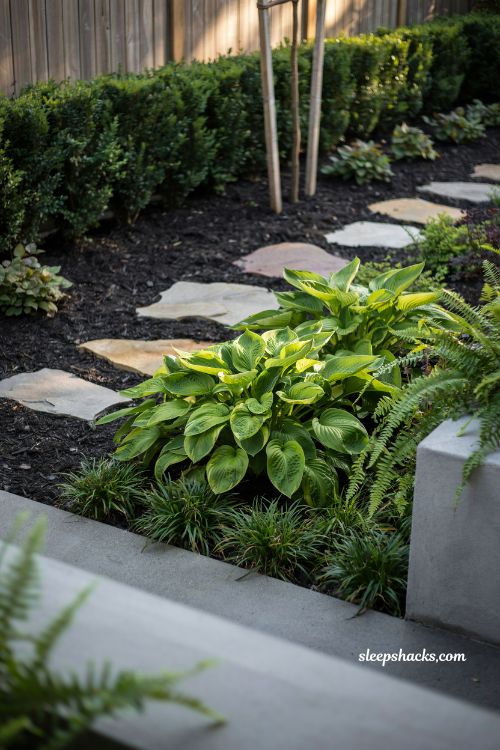 black mulch backyard landscaping with bright green plants and modern garden contrast