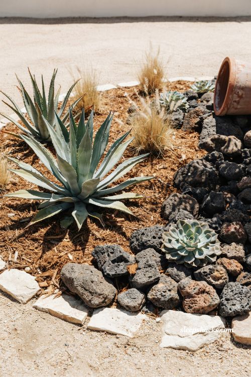 desert mulch bed with succulents and lava rock xeriscape garden design