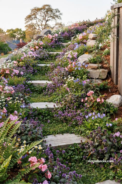 low maintenance ground cover ideas for steep sloped backyard replacing grass with creeping plants