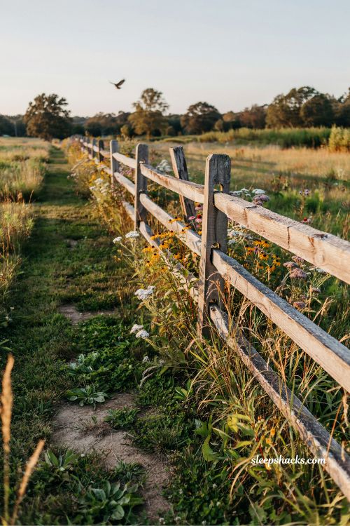 split rail fence along meadow garden edge rustic countryside landscaping ideas with wildflowers and natural wood textures