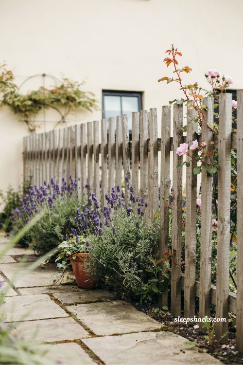 weathered picket fence ideas with uneven heights cottage garden lavender and climbing roses rustic farmhouse style